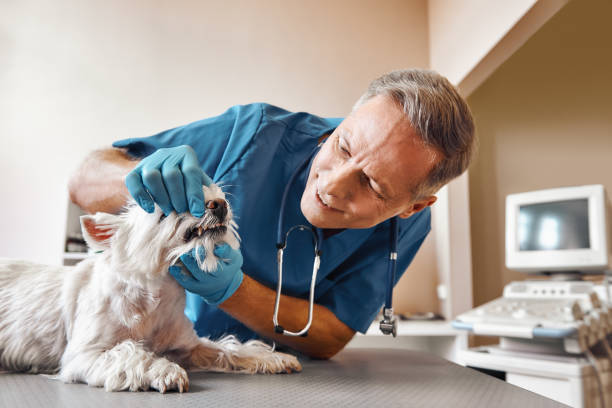 Best Weekend Emergency Dentist in Ball, LA